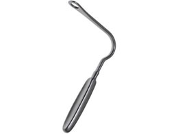 ���{�t���b�c���f�B�R �㈳�q(�t�����P����)20-2908-00 E502-0320(16X11CM)