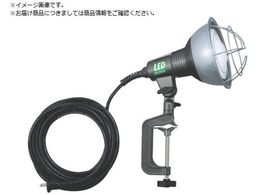 �n�^�� LED��Ɠ� 20W�L�p�^�C�vLED�����v�t �d��10M�t RGL-10W