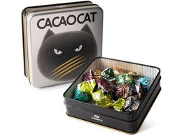 DADACA CACAOCATʃ~bNXVo[