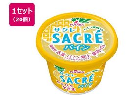 �t�^�o�H�i �T�N���p�C�� 200mL�~20��