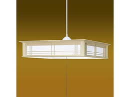 ^LY~ LEDy_g IWi TNGR85037