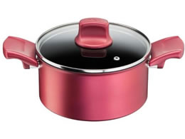 T-fal IH ���[�W���E�A�����~�e�b�h �V�`���[�|�b�g 20cm G26244