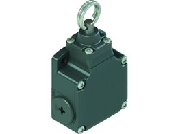 Pizzato ���~�b�g�X�C�b�` FL�^�C�v5 ���[�v76�` FL 576