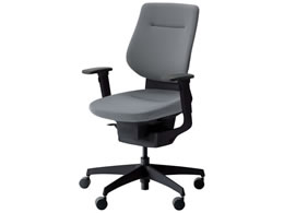 RN CO NbVwD IL WLX^[ CRG3213E6G4E3WN