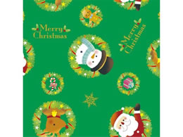 TTK  [XT^ ˔ 49-3002