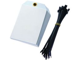 phECbg pZ[teB_Oz_[ (25) PST-5