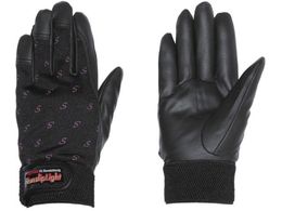 �y���M���G�[�X/�m���X���b�v���C�g