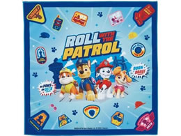 XP[^[ `NX 43cm pEEpg[ KBST43