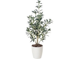 A[gNGCV I[u 90cm 61280034