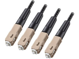 TTvC t@Cot@XgSCRlN^ }` 4 HKB-AC-FSCMM