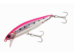 WbJ rbOobJ[A`s[h103 #sNobNCV