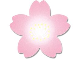 wCR[ MtgV[ g 60 007063865