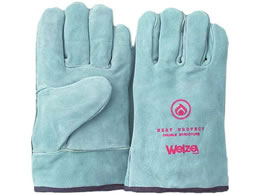 �����ӂ���� �E�F���U5�{�w��� �i�`������ �t���[