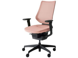 RN CO bVw IL VLX^[ CRG3413E6G49GVN