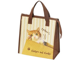 XP[^[ sDzۗobO YƂȂ FBC1