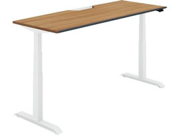 �R�N�� �V�[�N�G���X �����\�t�g ���o�[W1800 ���X�e�B�b�N�~�f�B�A�� W