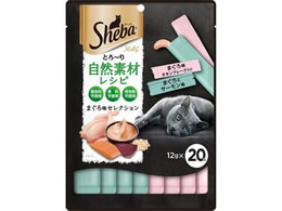 }[XWp V[o RfރVs ܂떡 20{