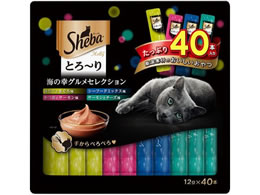 }[XWp V[o Ƃ[ C̍KOZNV 40{