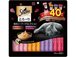 }[XWp V[o Ƃ[ ґV[t[h 40{