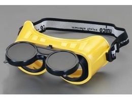 GXR S[O #10 dCnڗp EA800YE