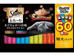 }[XWp V[o Ƃ[ ܂& 60{