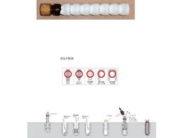 DECOLUXE P~JAJ[ PG^Cv(ōݕ) PG-19N