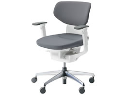 RN CO NbVwD IL VLX^[ CRGA3211E1G4E3V