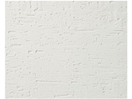 EBM ubtFEH[}[ 1^2TCYppM 