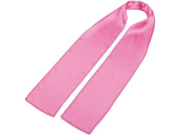 A[ebN \tgTe XJ[t  18859