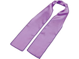 A[ebN \tgTe XJ[t  18861