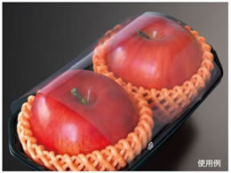 pbNX^C BPt[c |уtB  5000