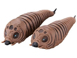 o_C [r[X^[V[Y Xc (2003) oqZbg