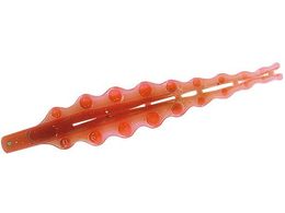 �_�C�� �g��t���A�[���[�t2 �^�R�����b�h