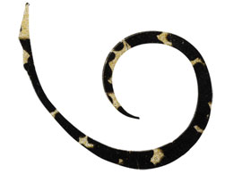 WbJ rrXCb`T+lN^C}CNJ[[X #ubNS[h