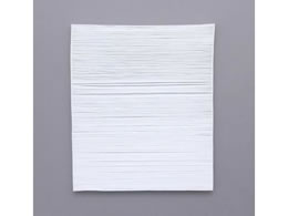 �G�X�R EA763AD-73�p�W�o�t�B���^�[ EA763AD-76