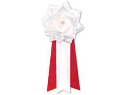 TTK L o  3^  12 38-3232