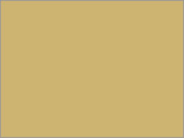 kzR[|[V F㎿  A4 Y  1000