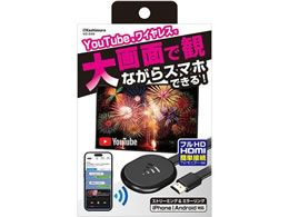 JV Miracast YouTubeXg[~O CX KD248