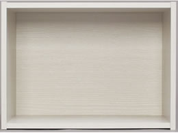 ACXI[} CB{bNX ItzCg CX-1