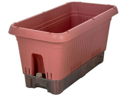 LIV PLUS xXgR v^[ LX^[t 650^ eRb^