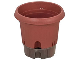 LIV PLUS xXgR Aؔ  |bg 300^ eRb^