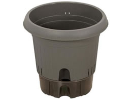 LIV PLUS xXgR Aؔ  |bg 300^ O[