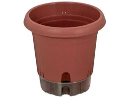 LIV PLUS xXgR Aؔ  |bg 360^ eRb^