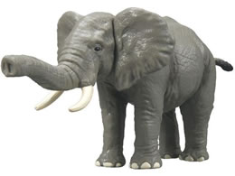 ^Jg~[ AjA AL-26 AtJ]E