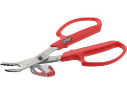 �T�{�e�� �������������e�R�t ���b�h �X�e��