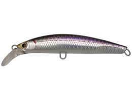 WN\ se[EZ 28 #SRK J^N`