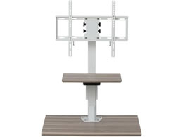 ���A�T�v���C���X �d�����~�e���r�X�^���h �z���C�g�~�i�`������