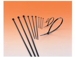 w}^Cg/CVbN^C MS^C(ϔMό󐫃^Cv)