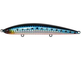 WN\ AX[g 105SSP SRI AJnCV