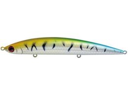 WN\ AX[g 12SSP FSM tbVO}bJ